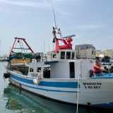 Uno di legno e del peso di dieci tonnellate assume per� la denominazione di �Sparviero�...